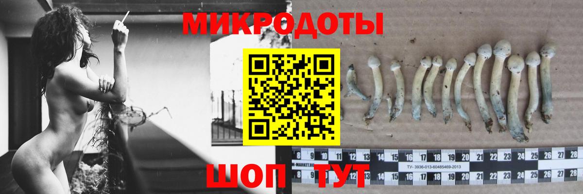 Псилоцибиновые грибы Psilocybe Донецк